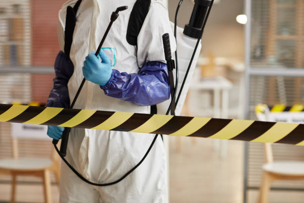 Professional Hoarding Cleanup technician working in Randolph, UT